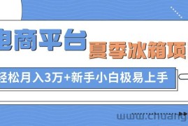 （10934期）电商平台夏季冰箱项目，轻松月入3万+，新手小白极易上手