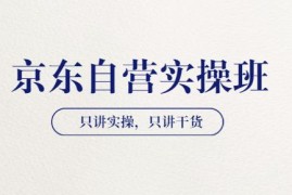 【京东自营实操班】只讲实操，只讲干货（28小时课程-共2期）价值4980