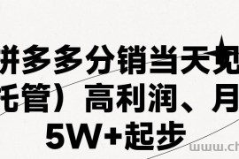 （11091期）最新拼多多模式日入4K+两天销量过百单，无学费、 老运营代操作、小白福…