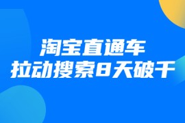 （1744期）进阶战速课：淘宝直通车拉动搜索8天破千（视频课程）无水印