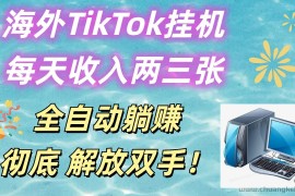 海外TikTok挂机，每天收入两三张，全自动躺赚，彻底 解放双手！