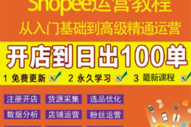 （3334期）shopee运营教程：从入门基础到高级精通，开店到日出100单（全套课程）