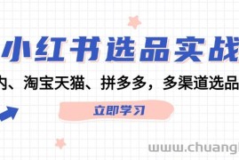 小红书选品实战：站内、淘宝天猫、拼多多，多渠道选品策略