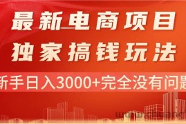 （11101期）最新电商项目-搞钱玩法，新手日入3000+完全没有问题