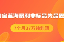 （2054期）淘宝蓝海暴利非标品先品思路，7个月37万纯利润，压箱干货分享！