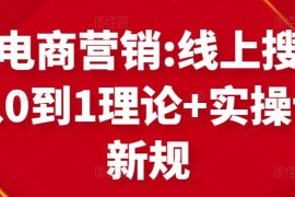 跨境电商营销:线上搜索营销从0到1理论+实操讲解，从0到1