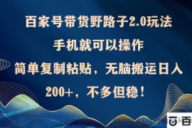 （12804期）百家号带货野路子2.0玩法，手机就可以操作，简单复制粘贴，无脑搬运日…