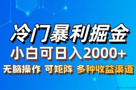 （12440期）最新冷门蓝海项目，无脑搬运，小白可轻松上手，多种变现方式，一天十几…