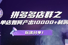 （2056期）拼多多店群之：教你单店如何产出10000+利润，玩法分享！