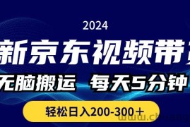 （10900期）最新京东视频带货，无脑搬运，每天5分钟 ， 轻松日入200-300＋