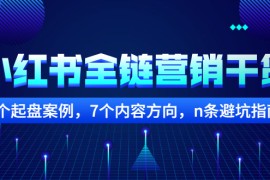 （2252期）小红书全链营销干货，5个起盘案例，7个内容方向，n条避坑指南