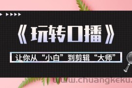 （3571期）月营业额700万+大佬教您《玩转口播》让你从“小白”到剪辑“大师”