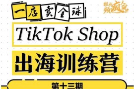 TikTokShop出海训练营（第十三期），打开全球流量新思维，出海抢占全球新流量，一店卖全球