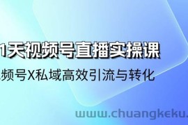 （10966期）21天-视频号直播实操课，视频号X私域高效引流与转化（22节课）