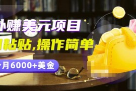 分享一个国外赚美元项目：复制粘贴一个月6000+美金，简单易操作