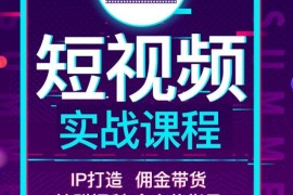 智度2022最新短视频实战课程，，IP打造+佣金带货，全方位指导